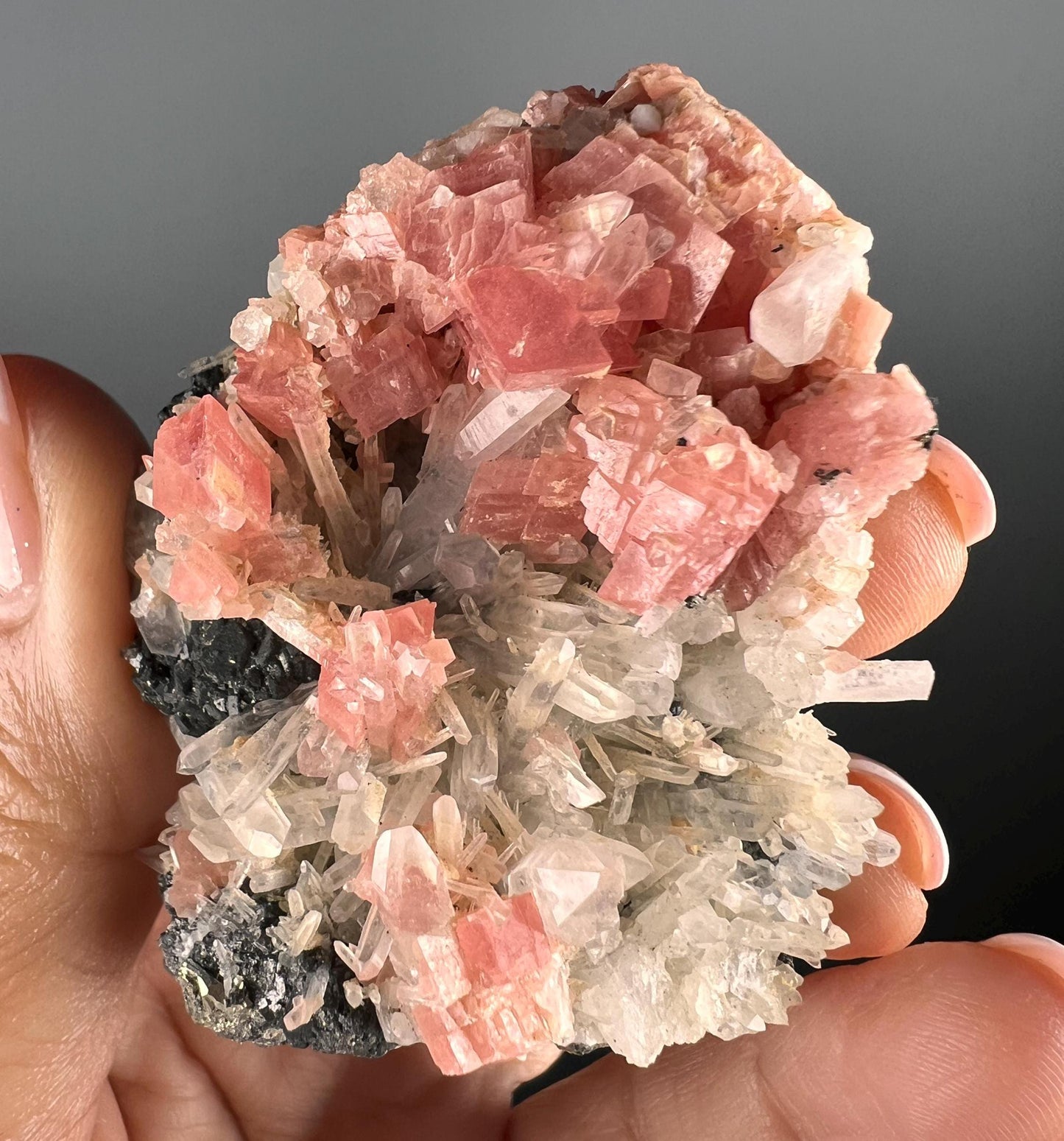 Perfect for Collection! Pink Rhodocrosite with Quartz and Galena Mineral