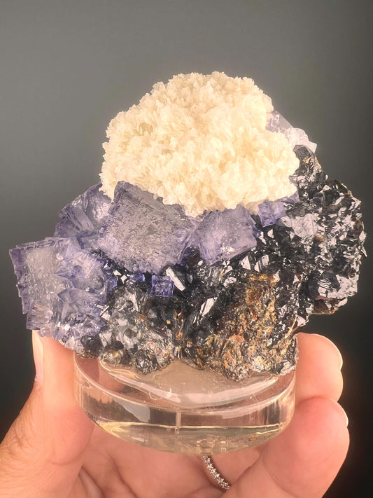 Dream Piece! Fluorite with Sphalerite from Elmwood Mine, Tennessee