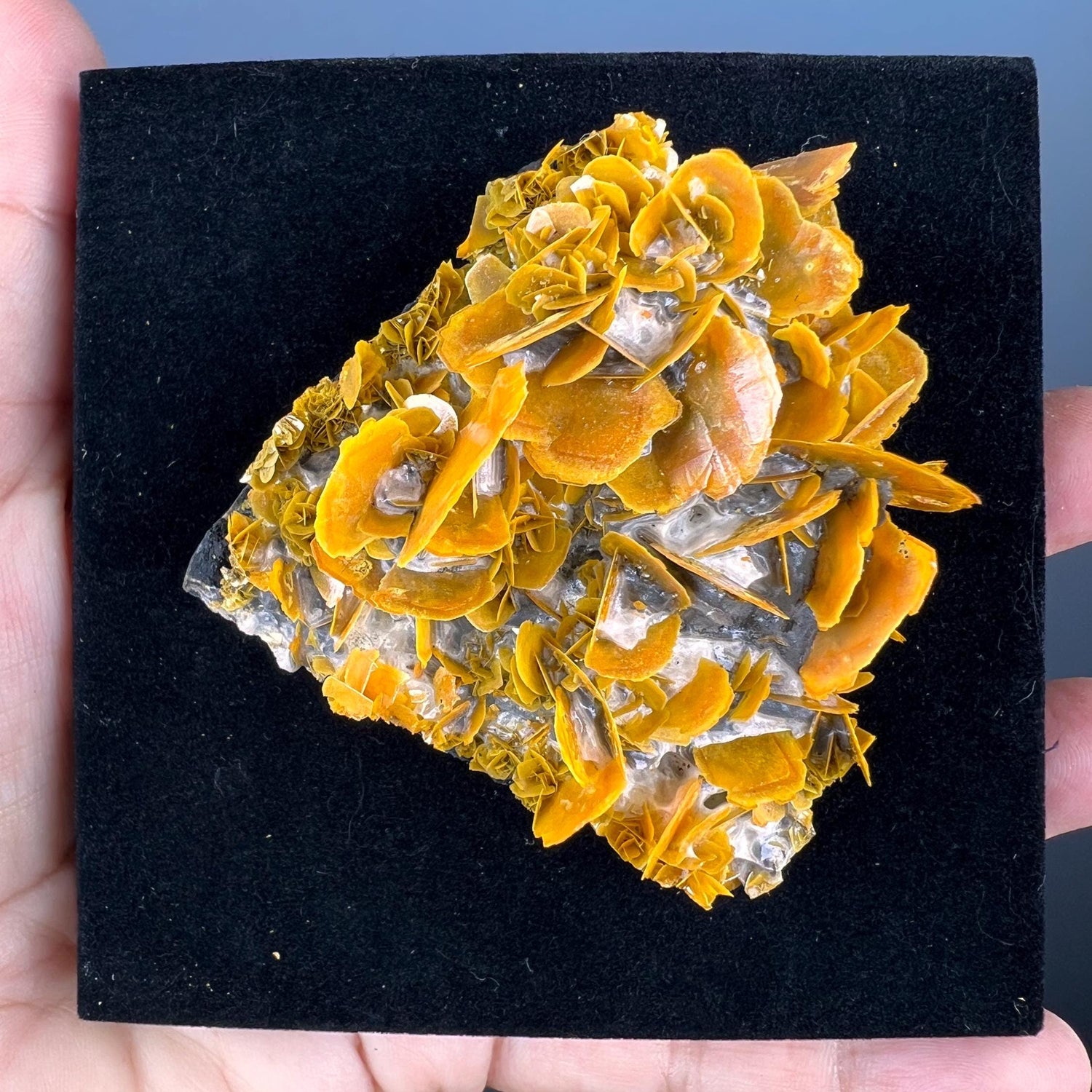 Big Size! Amazing Piece Orange Wulfenite Specimen