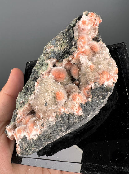 New! Amazing Piece for collection, Orange Thomsonite with Mesolite Specimen from India