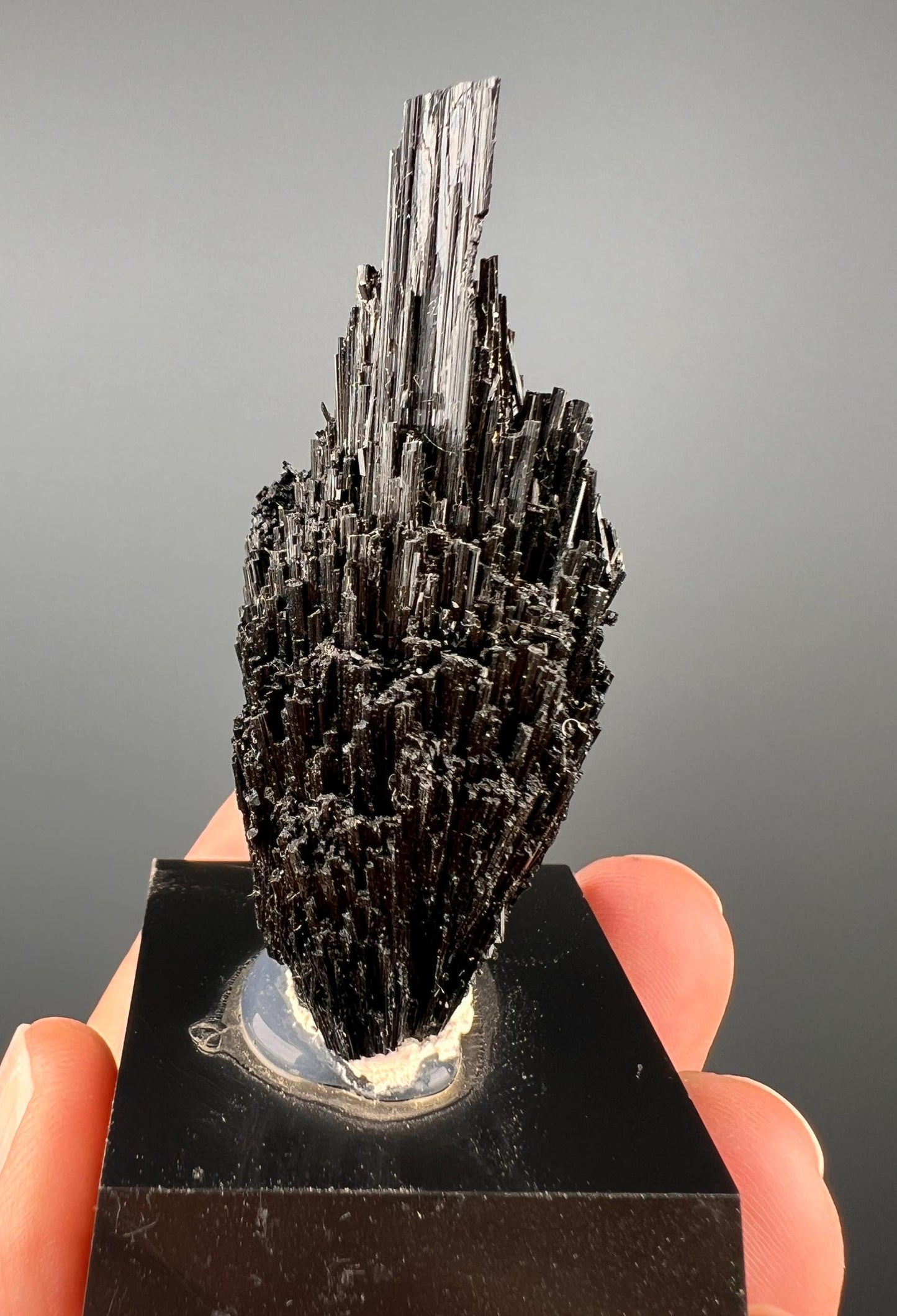 Black Tourmaline! Acicular Black Tourmaline Crystal Specimen