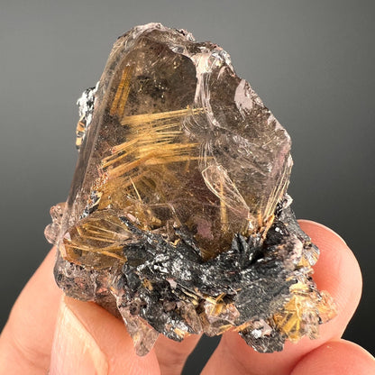 Golden Rutile Crystal with Hematite Specimen