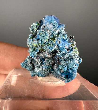 Cute Piece!!! Velvety Bubble Shattuckite Crystal Mineral Specimen