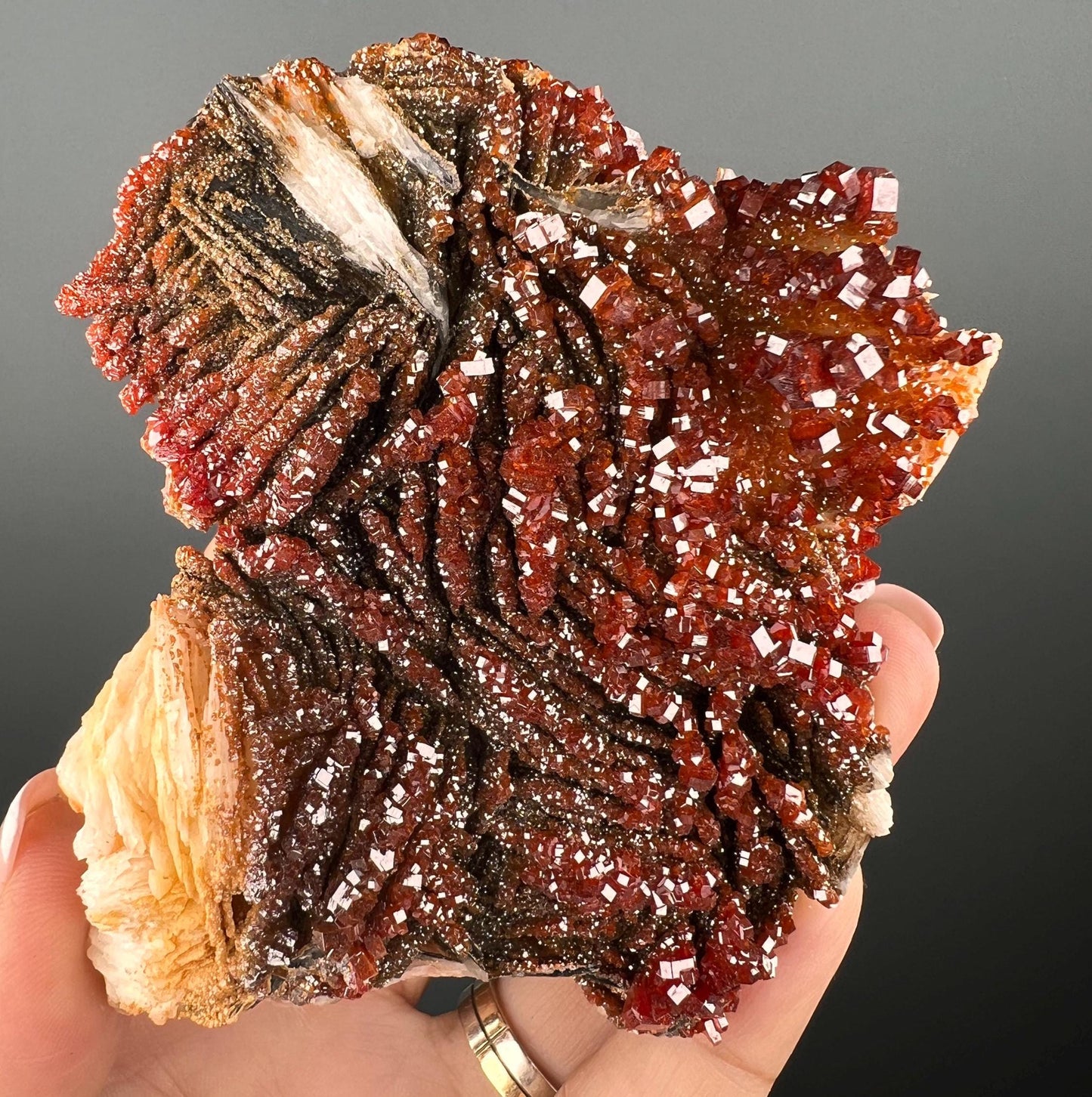 Fresh Arrival!Black Barite With Red Vanadinite Crystal Specimen From Morocco