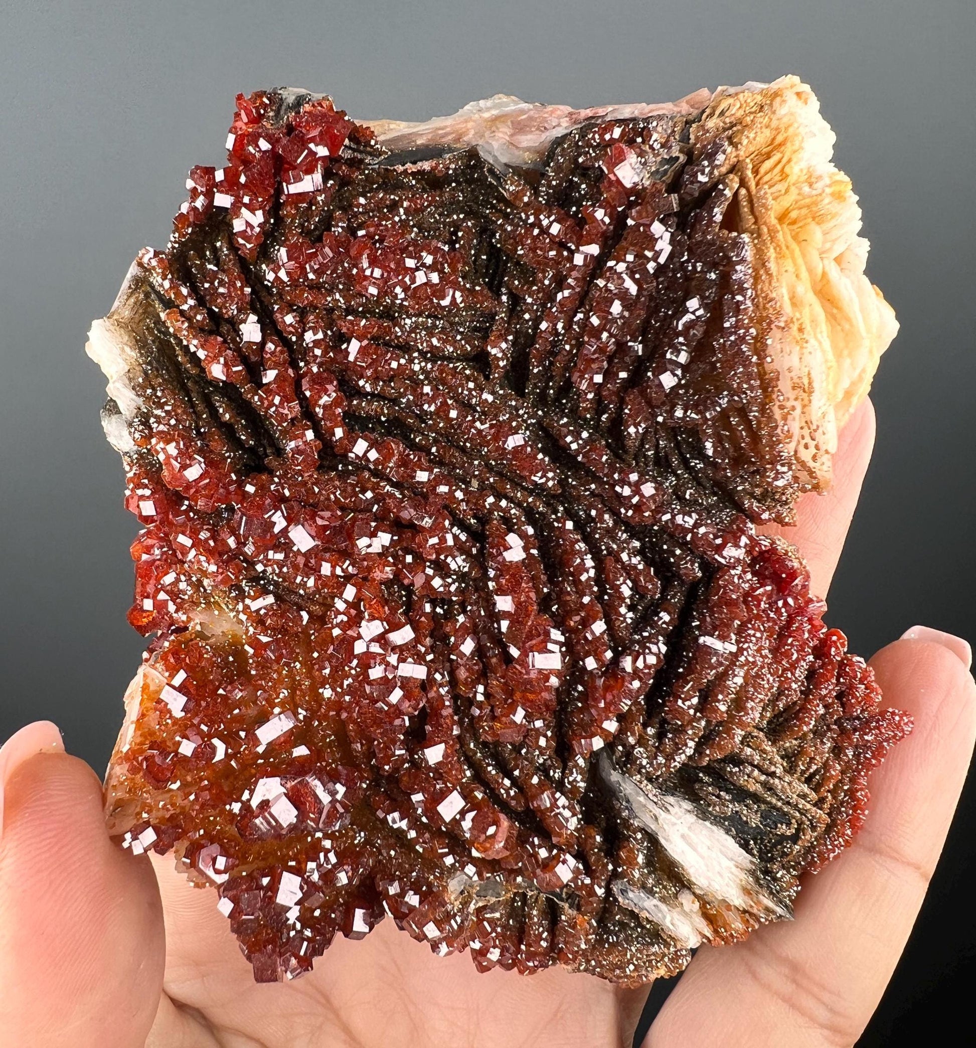 Fresh Arrival!Black Barite With Red Vanadinite Crystal Specimen From Morocco