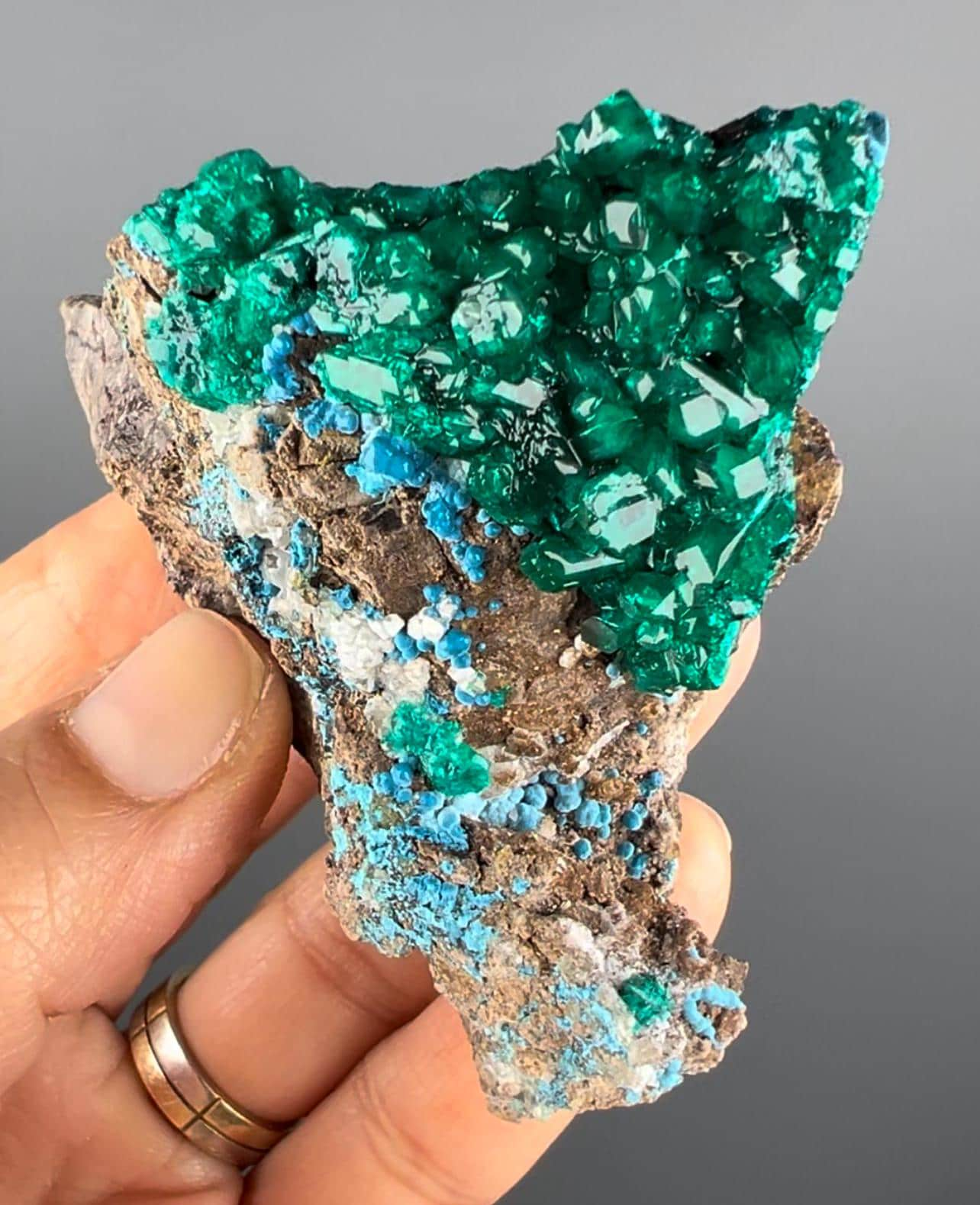 Magnificent Piece! Emerald Green Dioptase with Blue Shattuckite Mineral Specimen