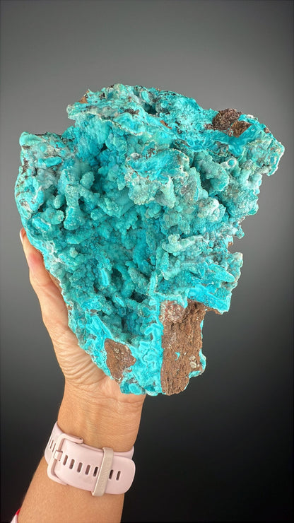 Druzy Chrysocolla Stalactites