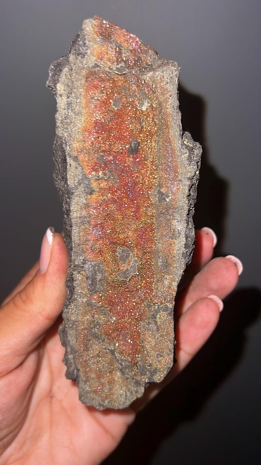 New Find!Fossil Wood with Sparkling Pyrite Crystal, Pyrite-mineralized Wood, Permineralized Wood with Pyrite