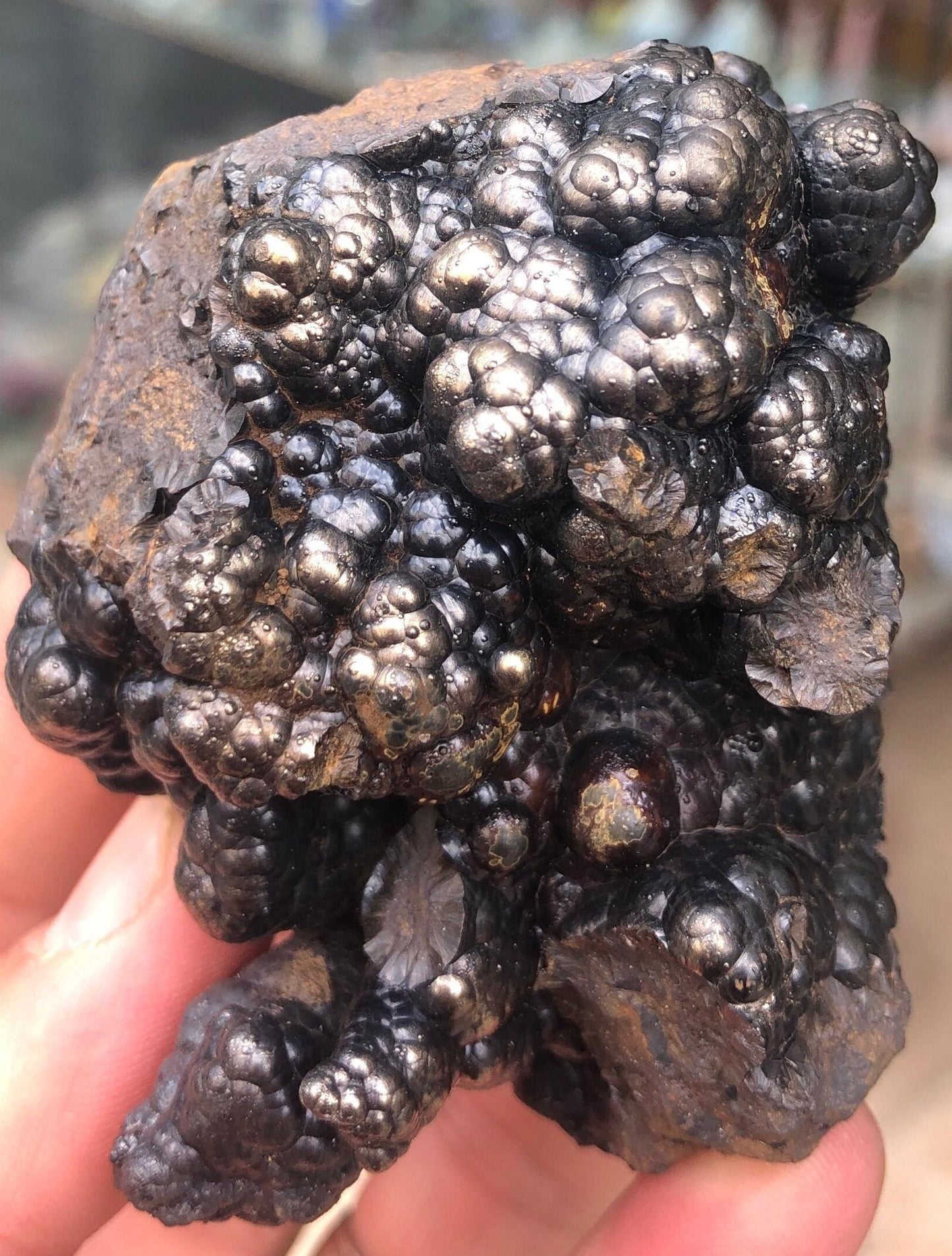 New Stock! Golden Hematite with Botryoidal Formation