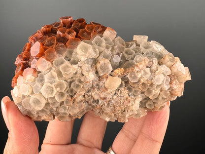 Aragonite Cluster Specimen, Bi-Color Aragonite Crystal