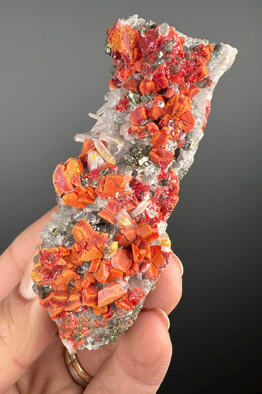 Amazing Piece! Red Crystals on Quartz with Galena Crystal