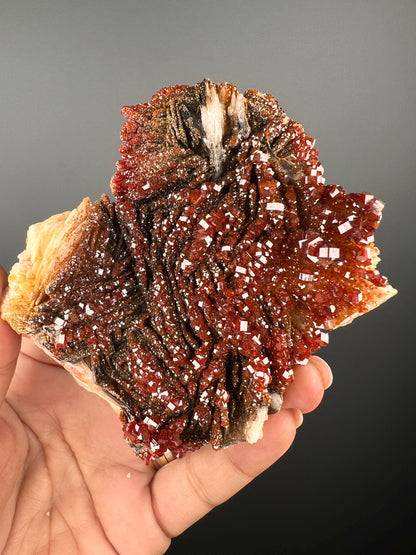 Fresh Arrival!Black Barite With Red Vanadinite Crystal Specimen From Morocco