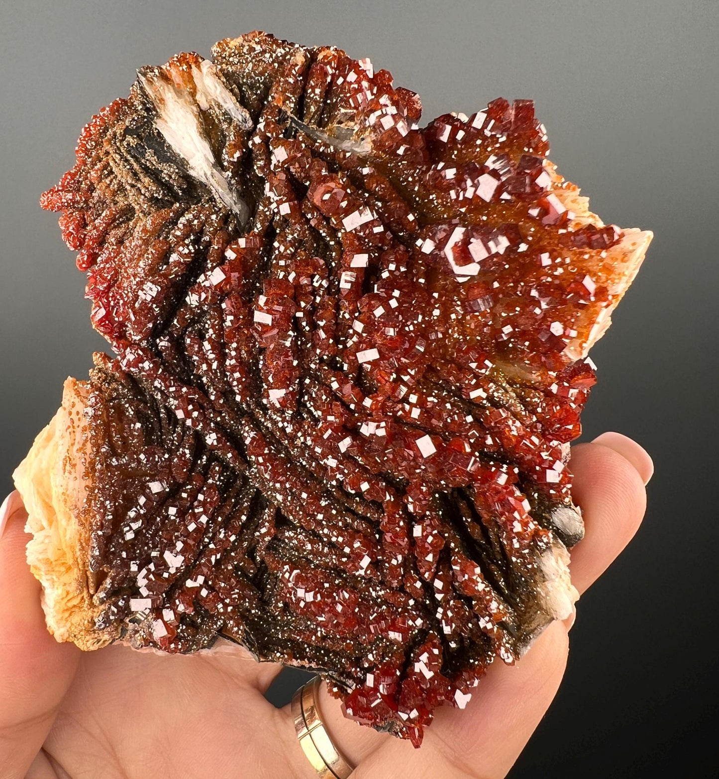 Fresh Arrival!Black Barite With Red Vanadinite Crystal Specimen From Morocco