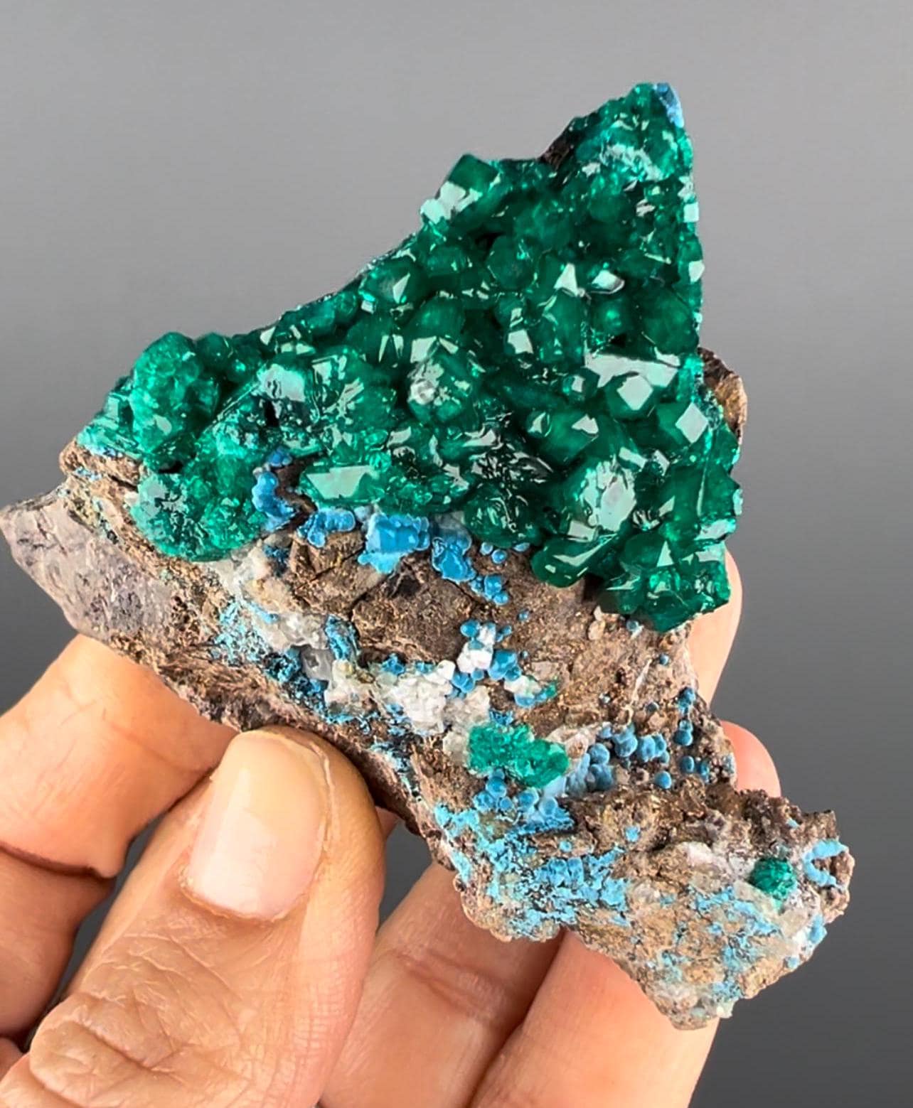 Magnificent Piece! Emerald Green Dioptase with Blue Shattuckite Mineral Specimen