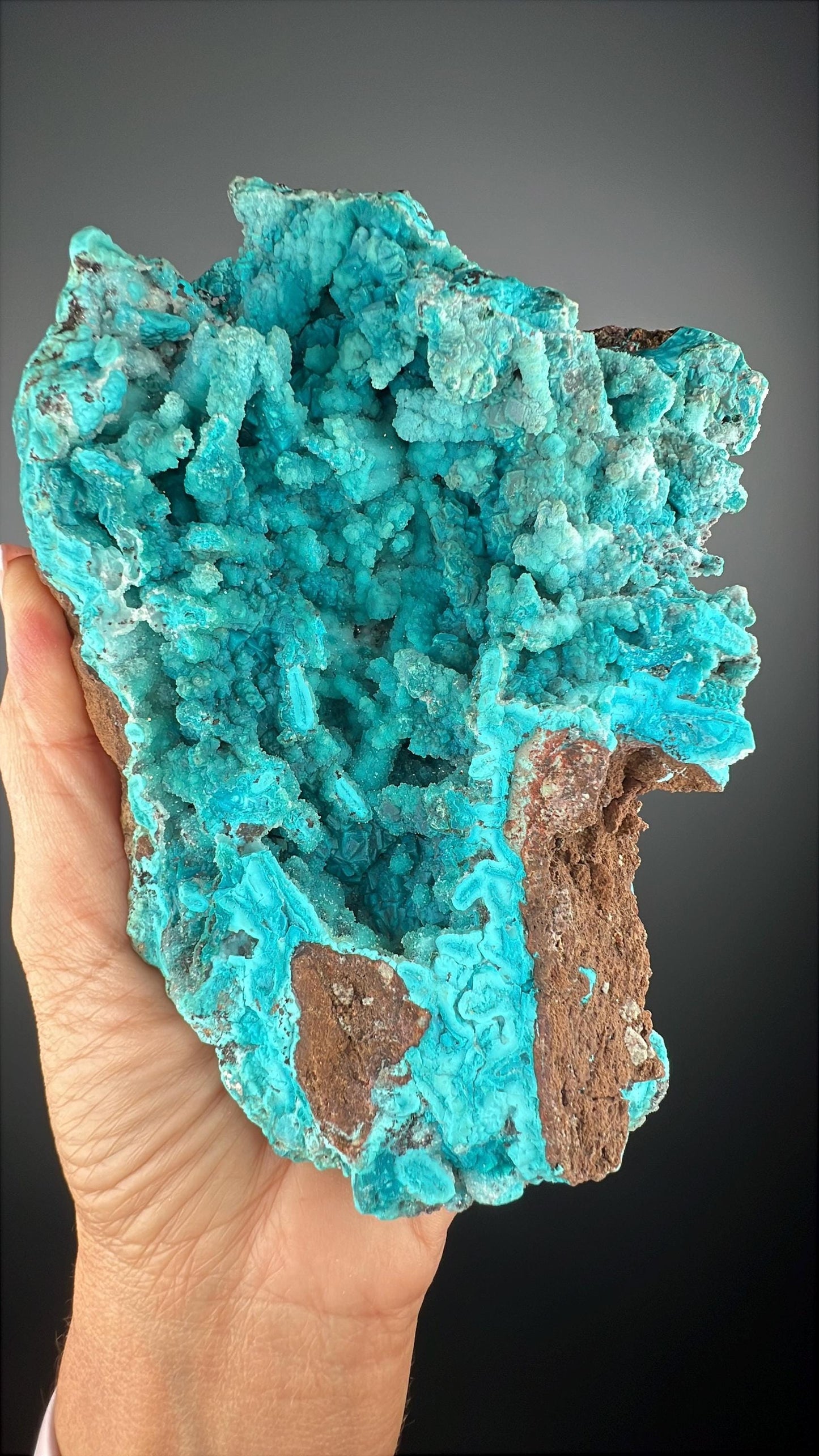 Druzy Chrysocolla Stalactites