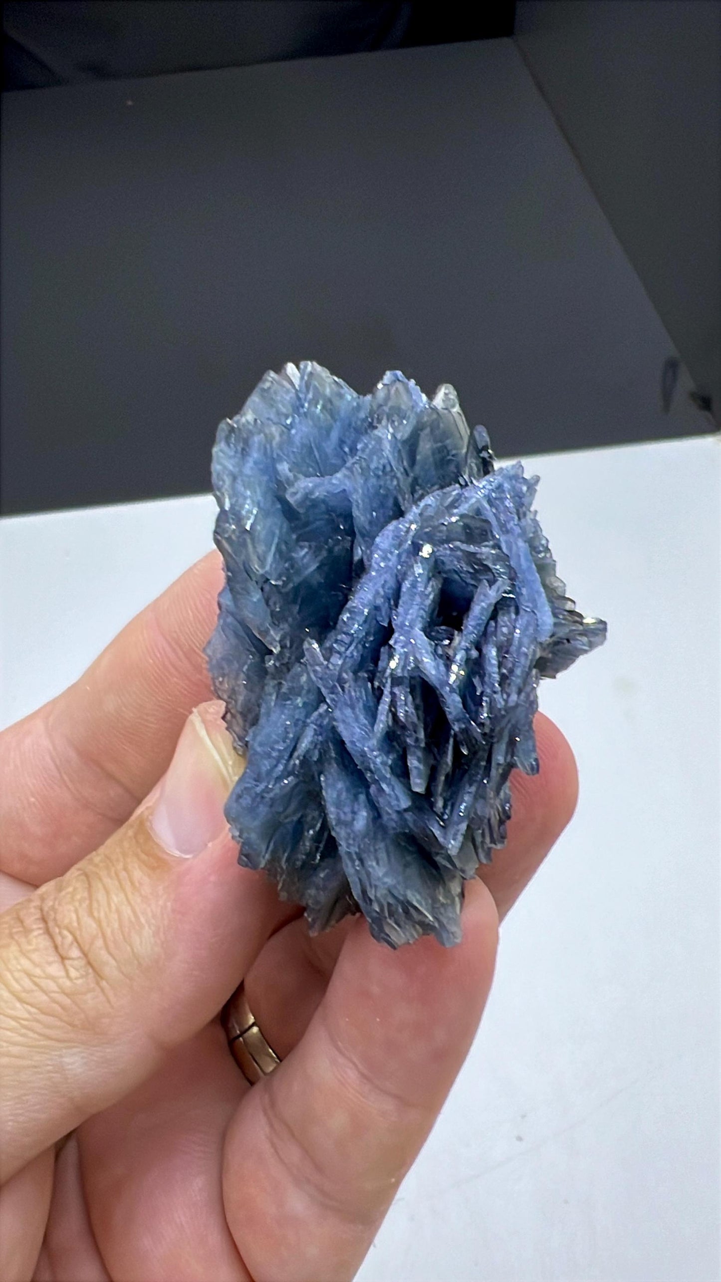 Amazing Color! Blue Barite Crystals Cluster