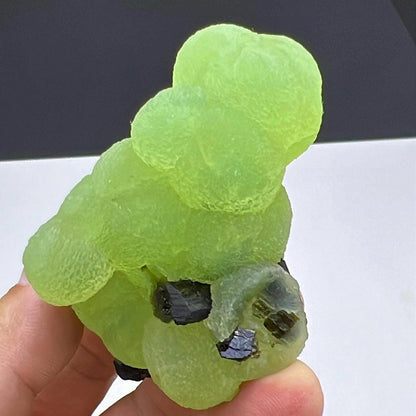 Grape Green Prehnite with Dark Green Epidote Specimen