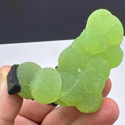 Grape Green Prehnite with Dark Green Epidote Specimen