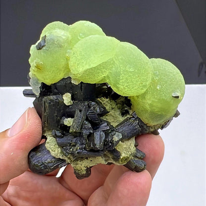 Grape Green Prehnite with Dark Green Epidote Specimen