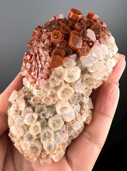 Aragonite Cluster Specimen, Bi-Color Aragonite Crystal