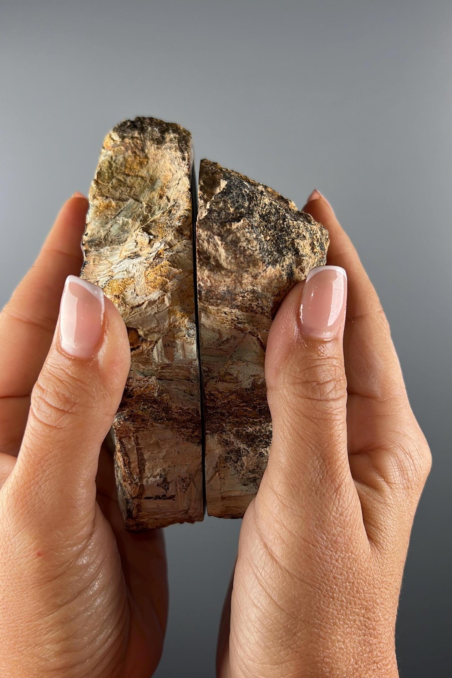 New Find! Blue Petrified Wood (1 Pair)