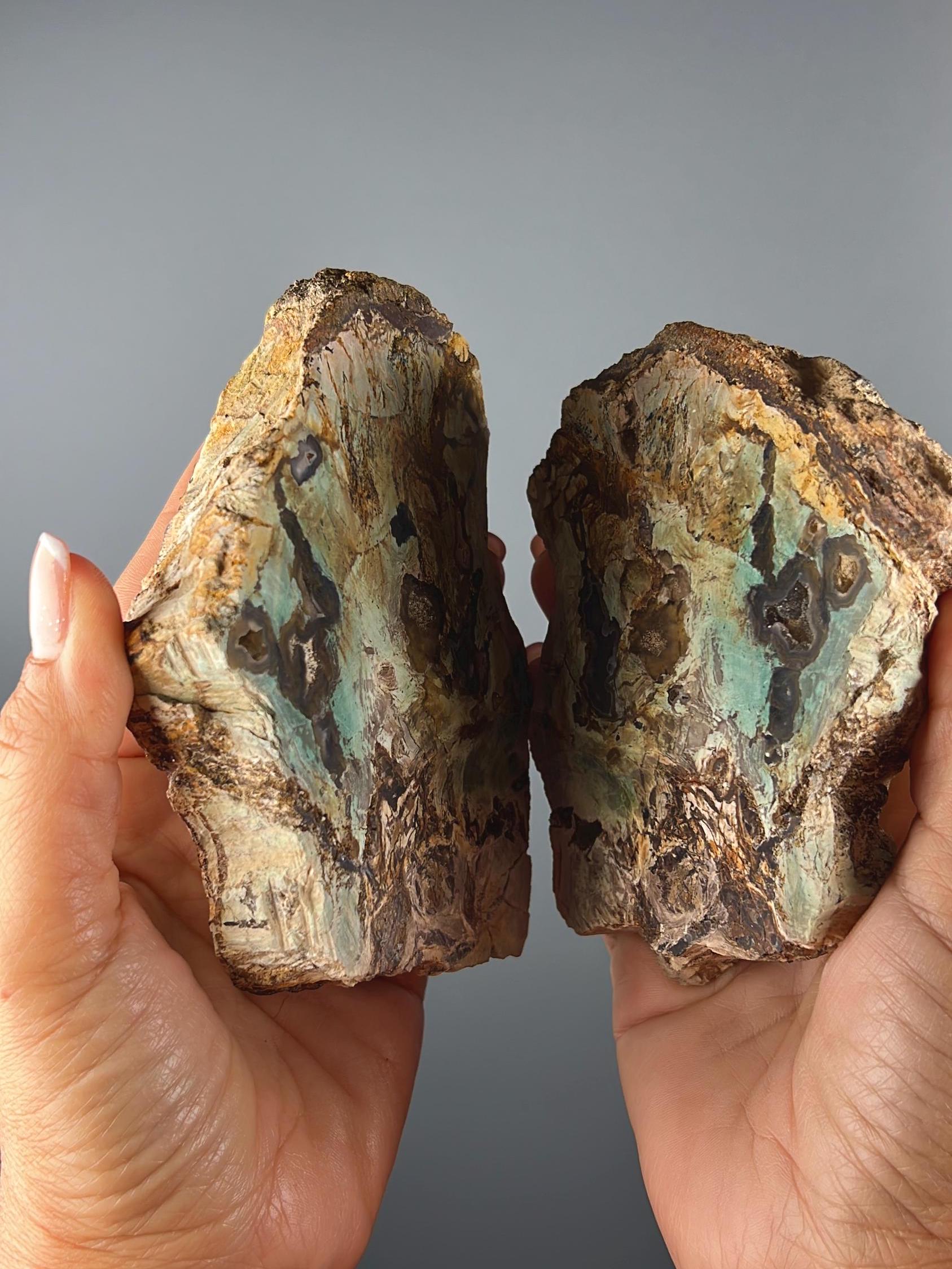 New Find! Blue Petrified Wood (1 Pair)