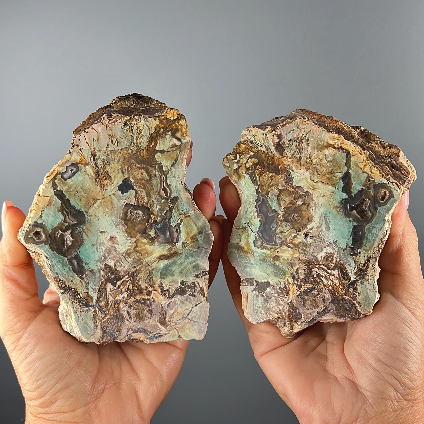 New Find! Blue Petrified Wood (1 Pair)