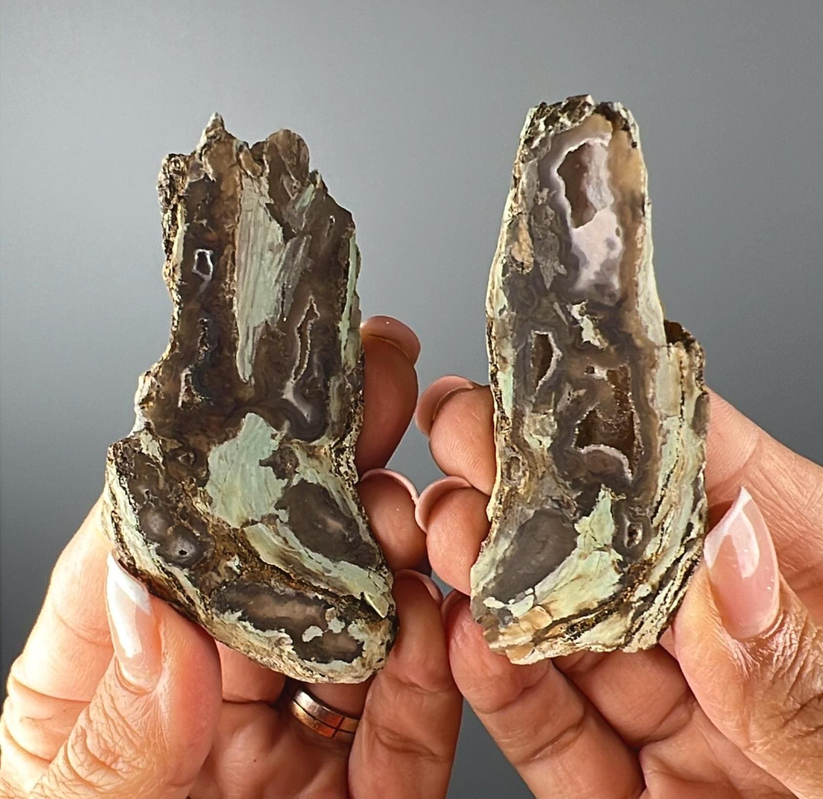 New Find! Blue Petrified Wood (1 Pair)