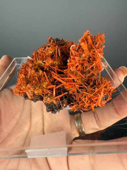 Fire Orange Crocoite Crystal Specimen