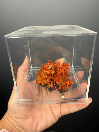 Fire Orange Crocoite Crystal Specimen