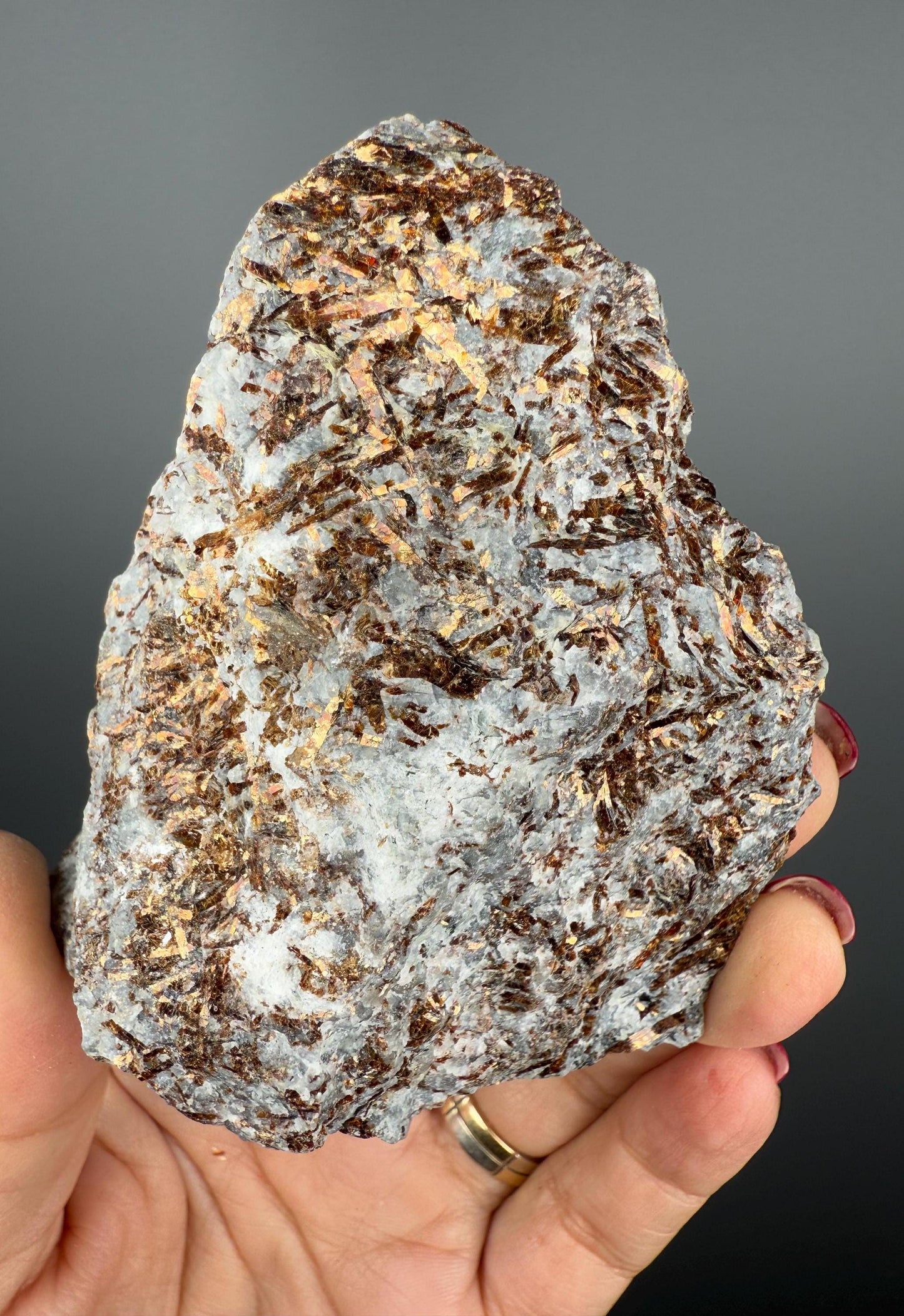 Big Size!Shinny Brown Astrophyllite Crystal Specimen