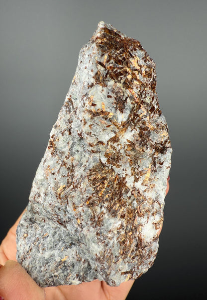 Big Size!Shinny Brown Astrophyllite Crystal Specimen