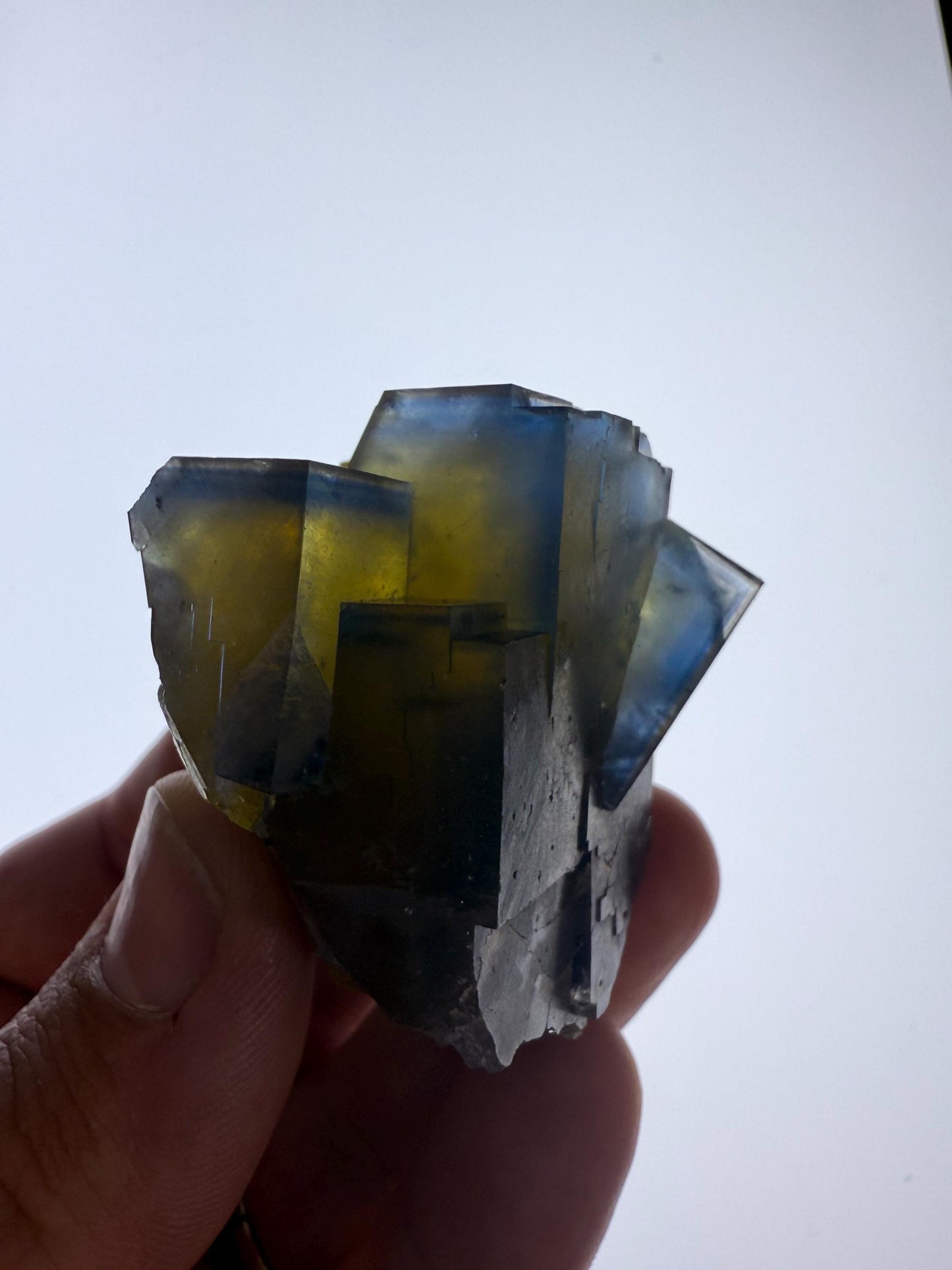 Blue - Yellow Fluorite Crystal