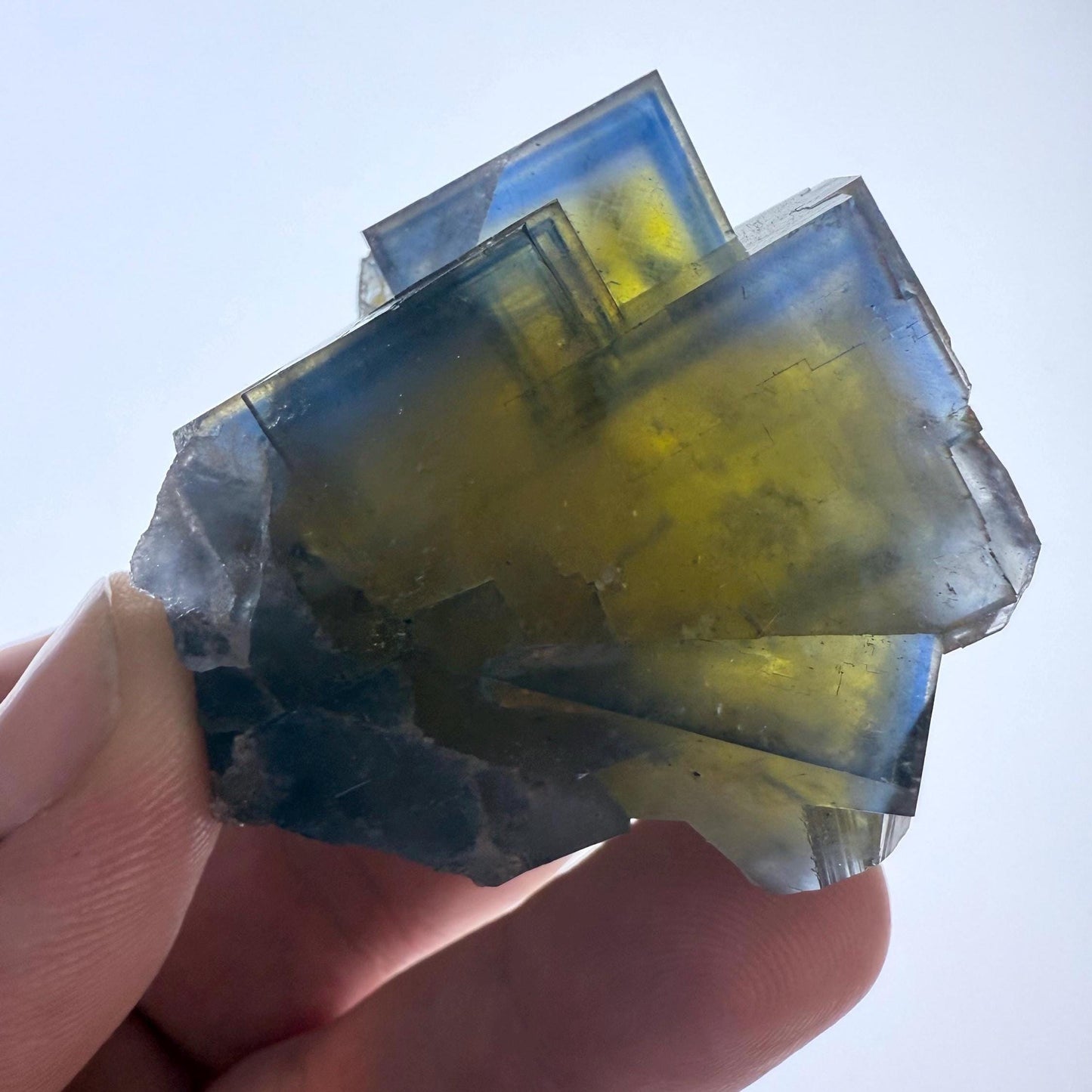 Blue - Yellow Fluorite Crystal