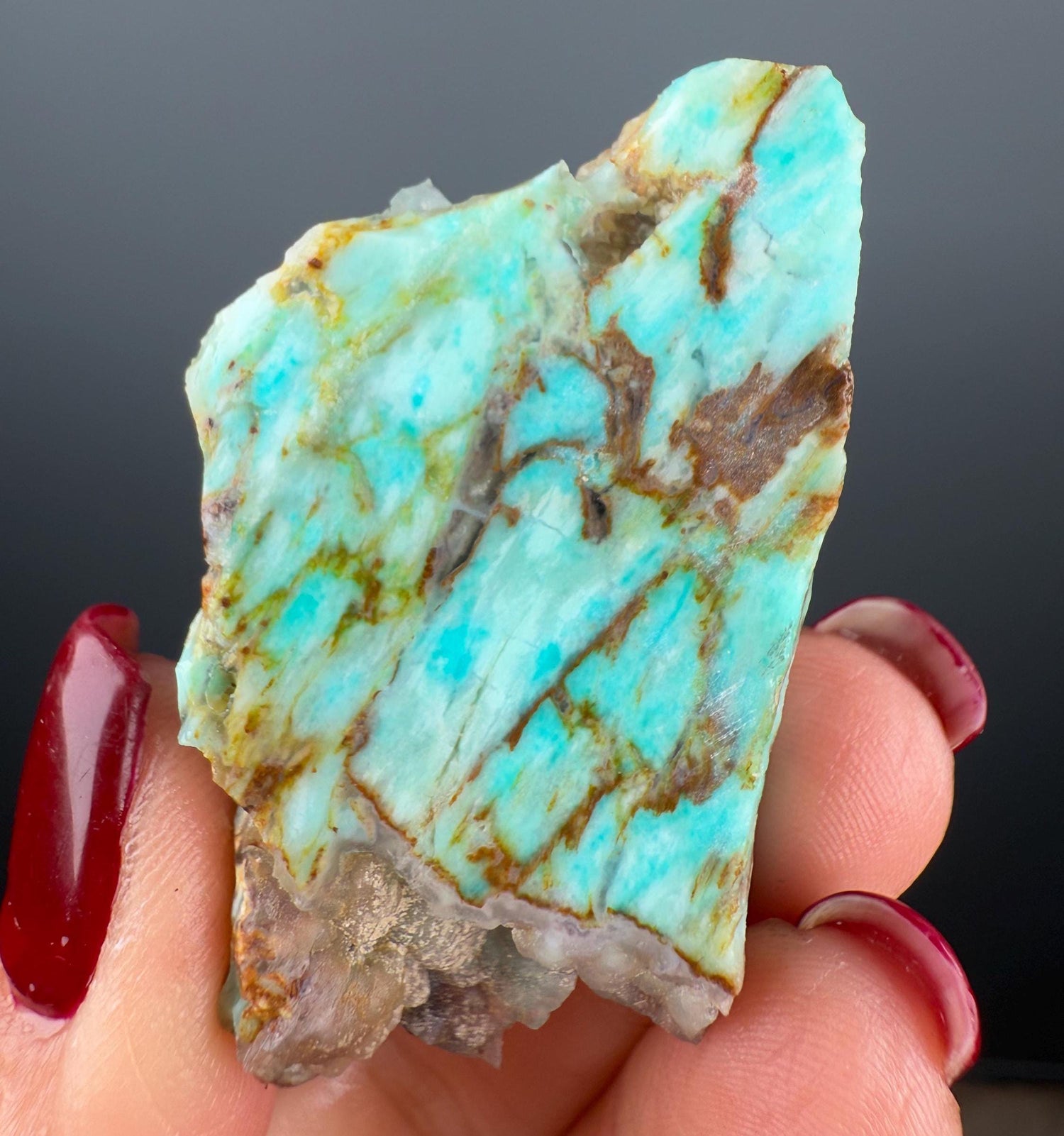 Natural Collawood (Colla Petrified Wood) with Chrysocolla