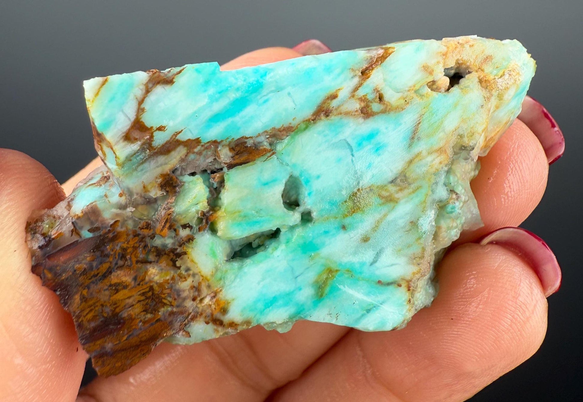 Natural Collawood (Colla Petrified Wood) with Chrysocolla