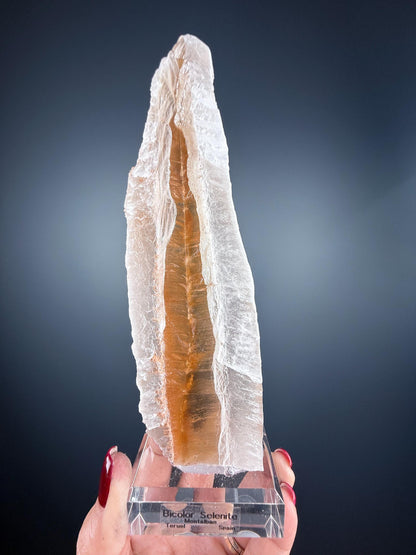 Bicolor Selenite from Spain