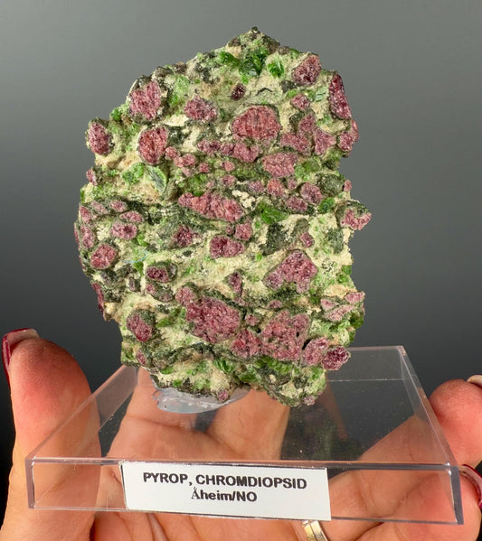 Rare! Pyrope Garnet with Chrom Diopsite Specimen