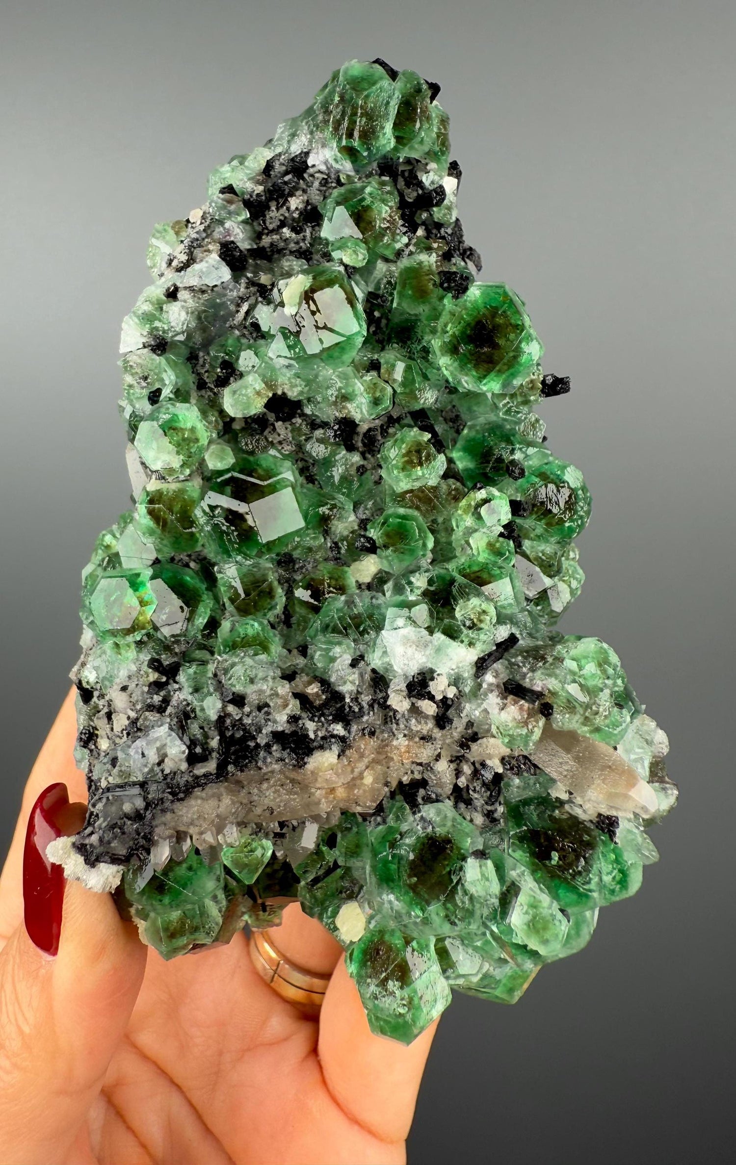 Fluorite on black Tourmaline Crystal (Lollipop Pocket), Erongo, Namibia