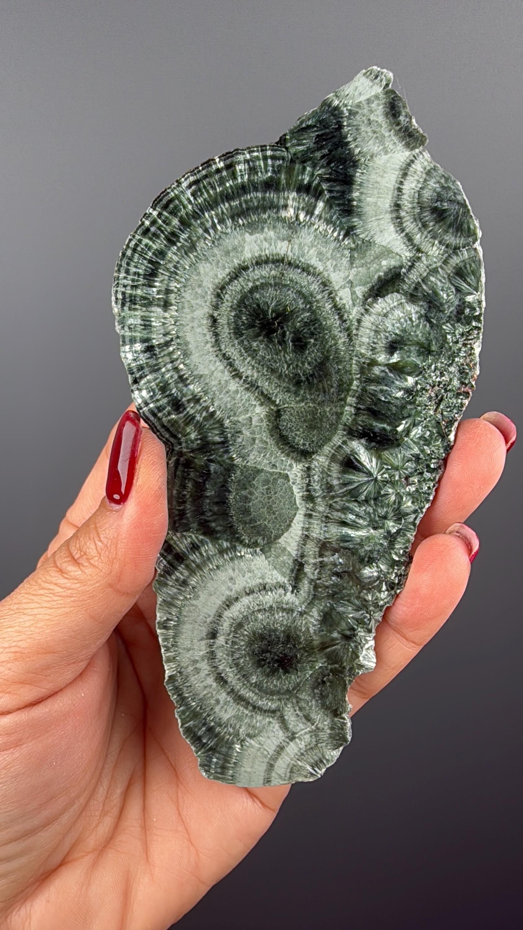 Feel the Serenity!Deep Forest Green Seraphinite Slab, Seraphinite Slab