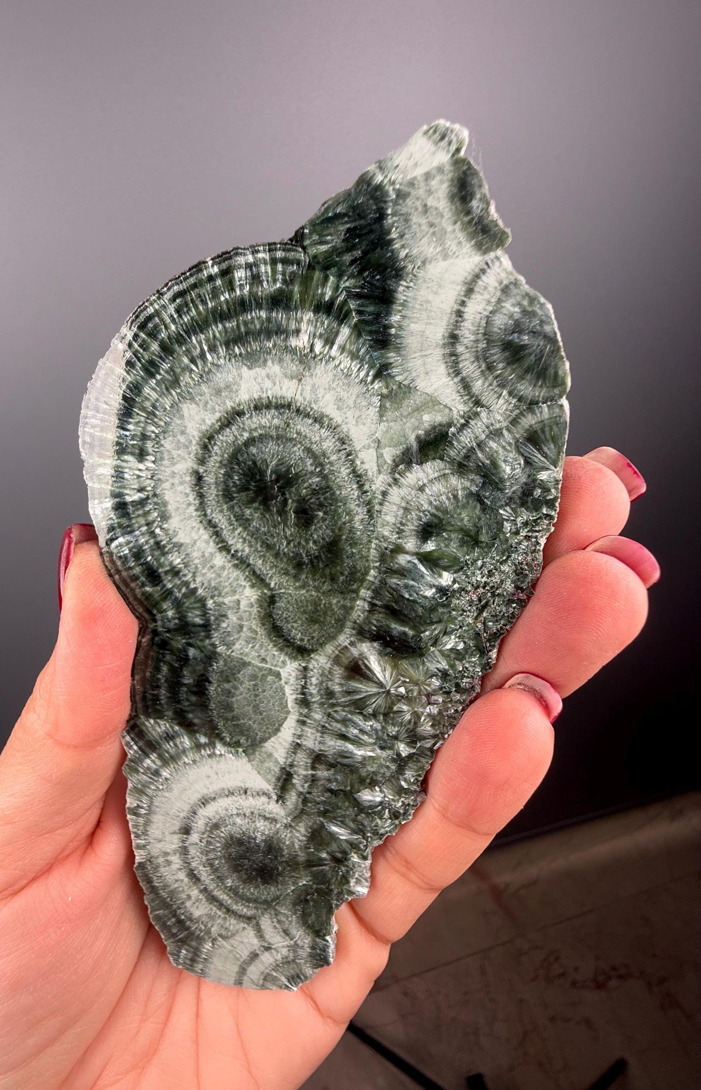 Feel the Serenity!Deep Forest Green Seraphinite Slab, Seraphinite Slab