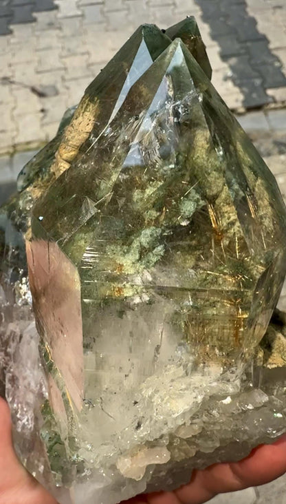 Amazing Energy! Himalayan Clear Quartz with Golden Rutile and Green Chlorite from Himalayas