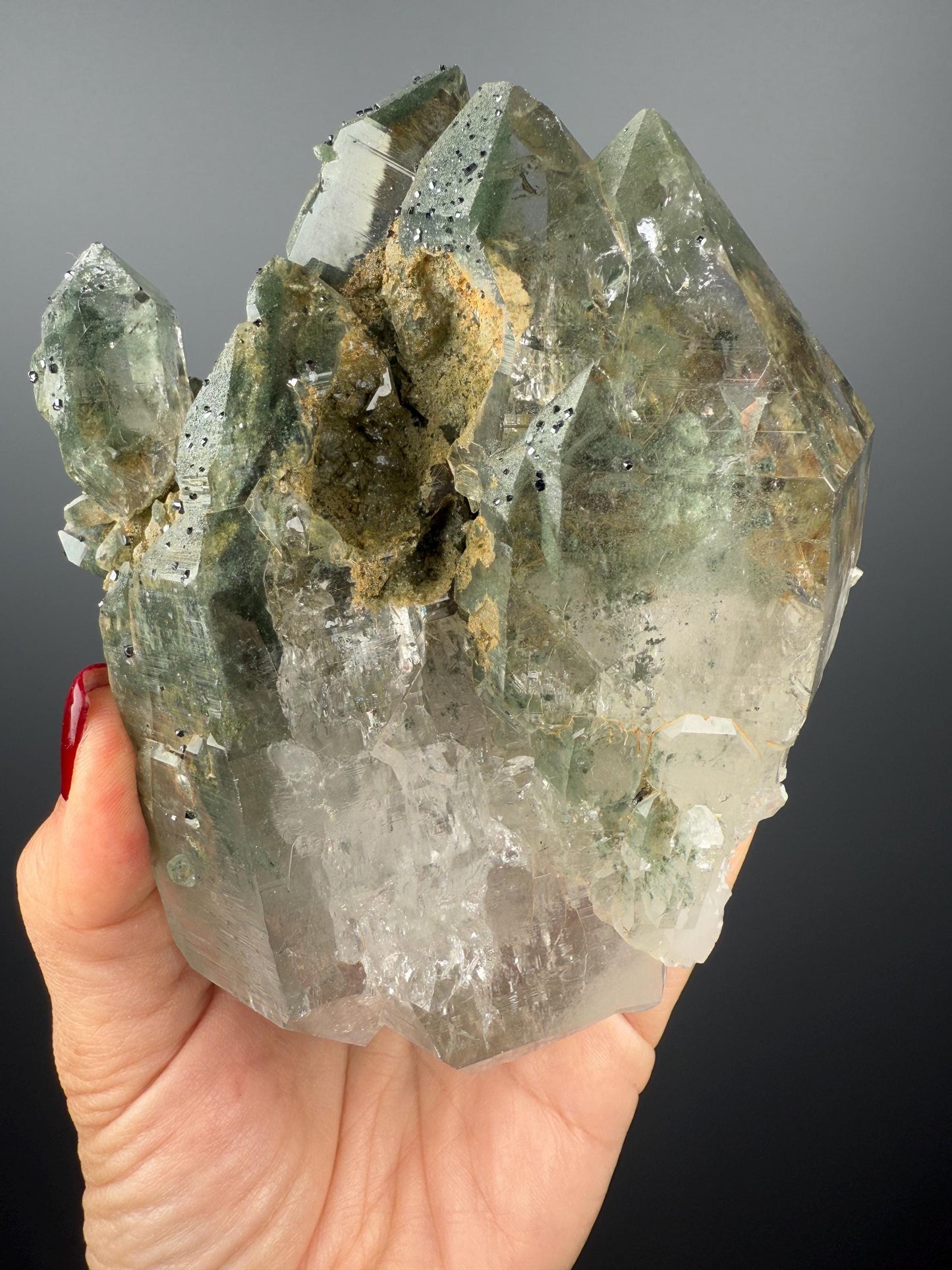 Amazing Energy! Himalayan Clear Quartz with Golden Rutile and Green Chlorite from Himalayas