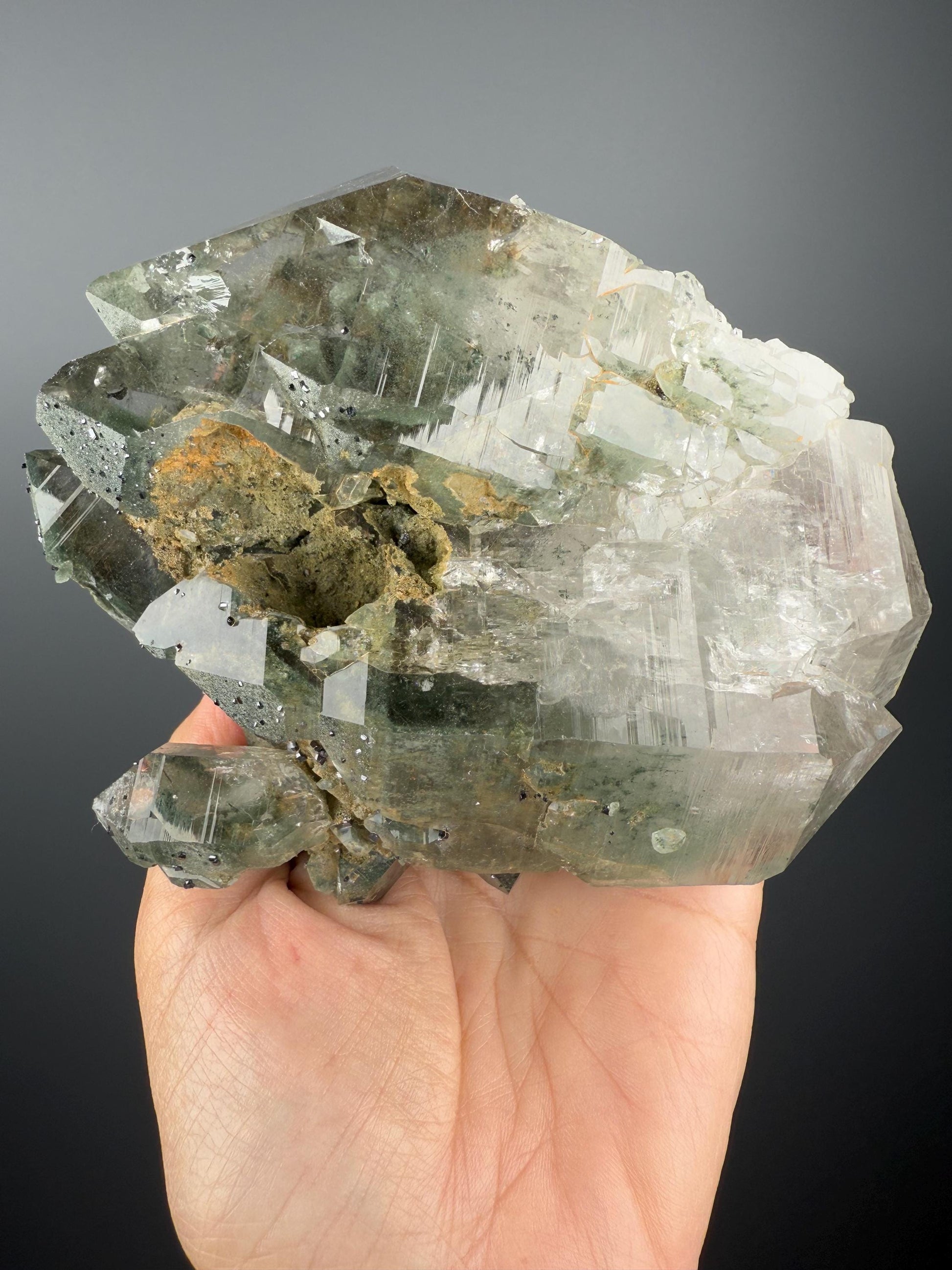 Amazing Energy! Himalayan Clear Quartz with Golden Rutile and Green Chlorite from Himalayas