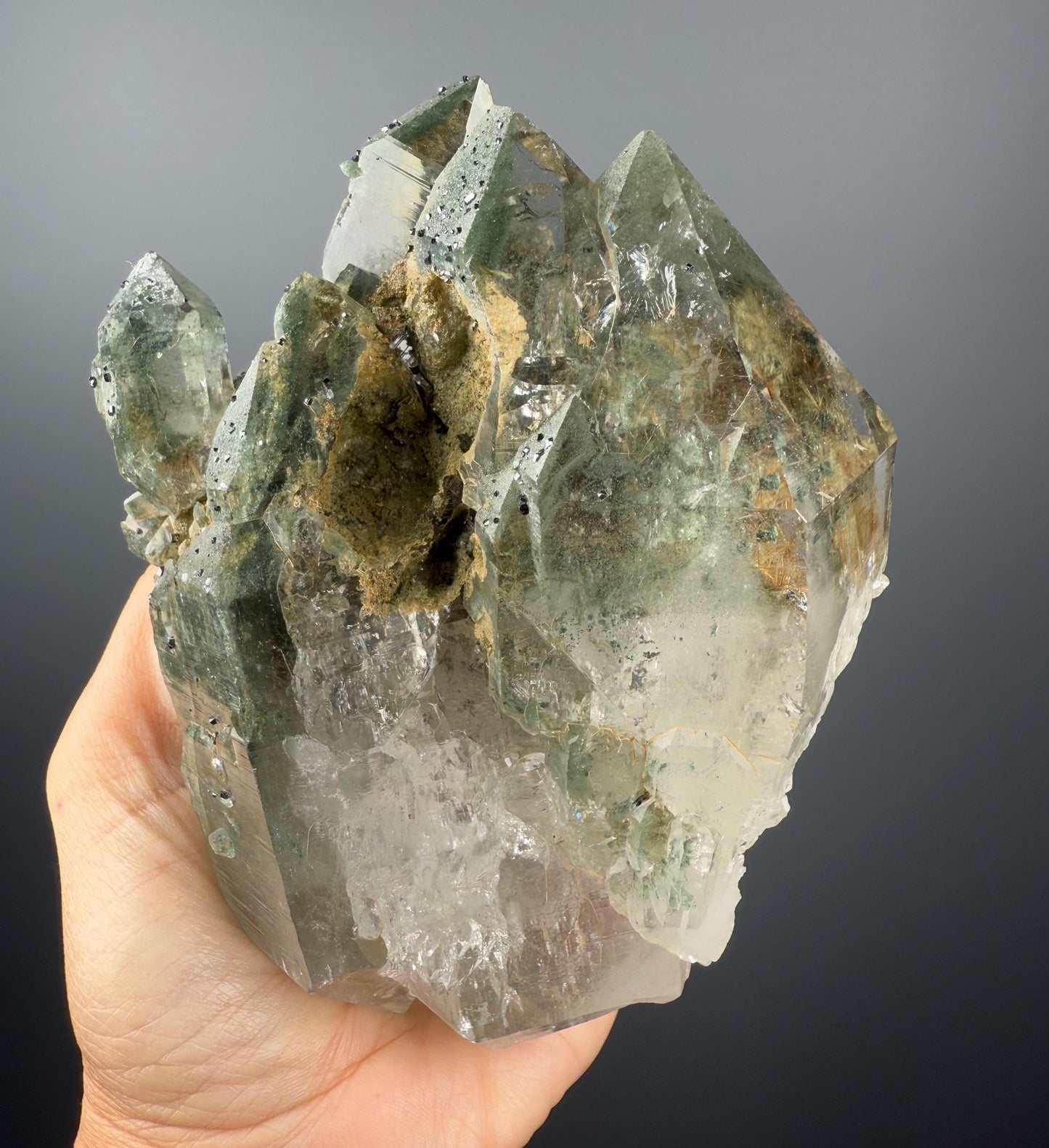 Amazing Energy! Himalayan Clear Quartz with Golden Rutile and Green Chlorite from Himalayas