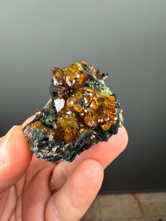 Beautiful Piece! Orange Andradite Garnet on Hedenbergite Specimen