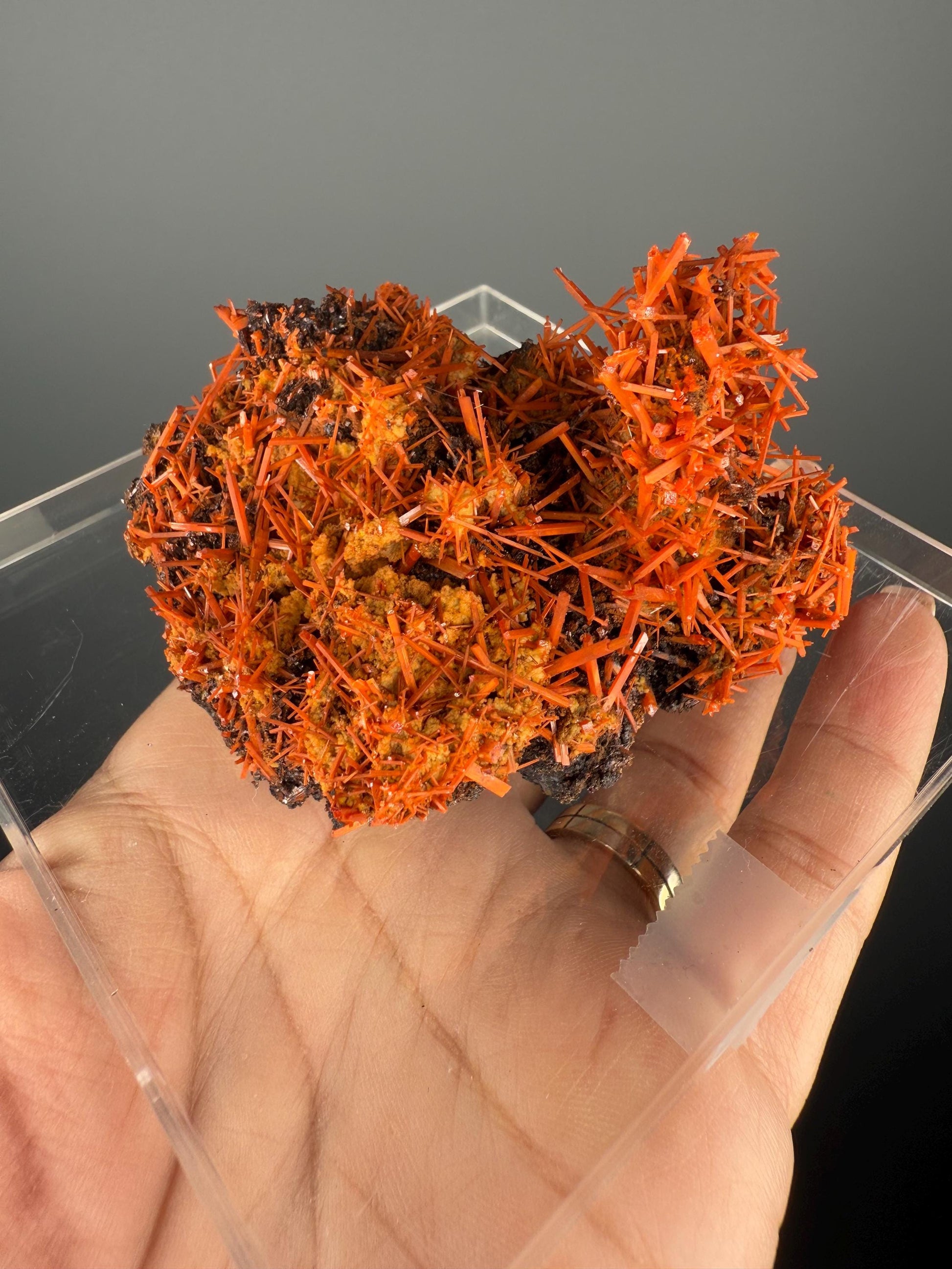 Fire Orange Crocoite Crystal Specimen