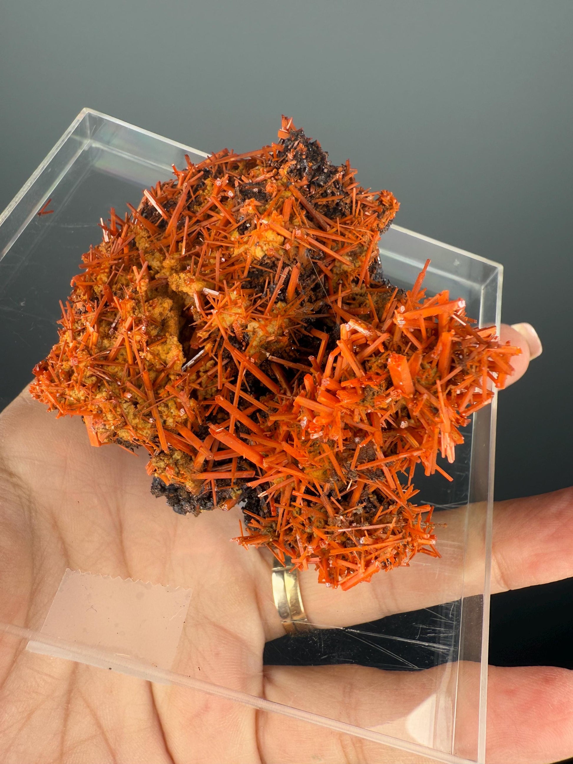 Fire Orange Crocoite Crystal Specimen