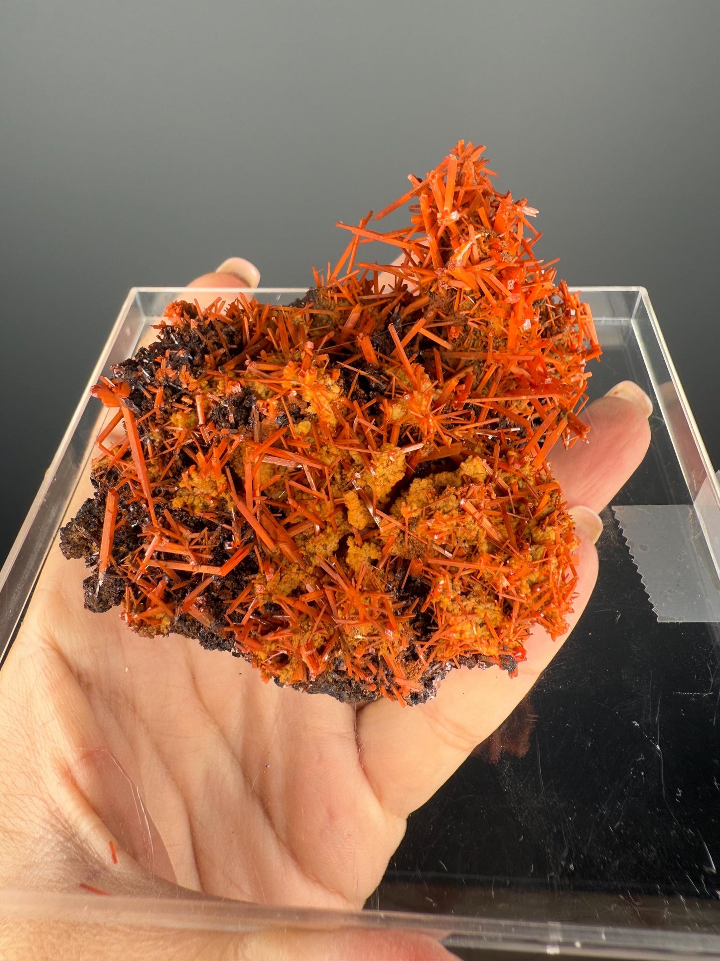 Fire Orange Crocoite Crystal Specimen