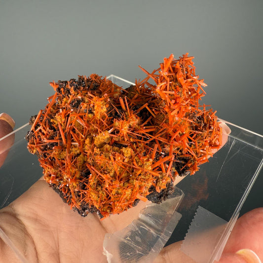 Fire Orange Crocoite Crystal Specimen